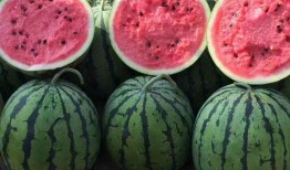 吃瓜网官网免费观看